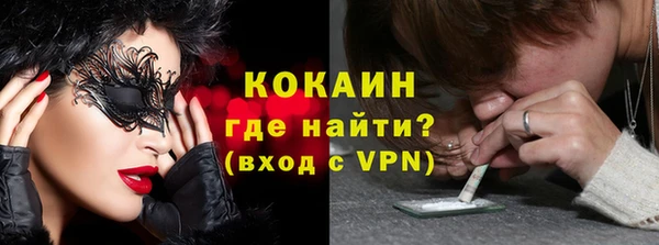 индика Абаза