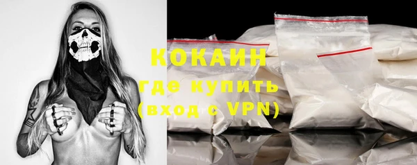 индика Абаза