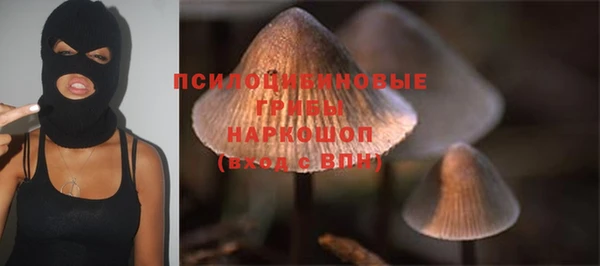 прущая мука Алзамай