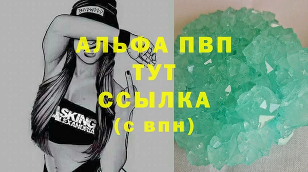 индика Абаза
