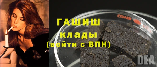индика Абаза