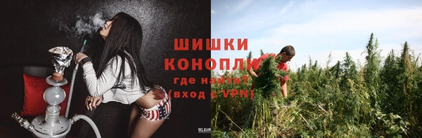 индика Абаза