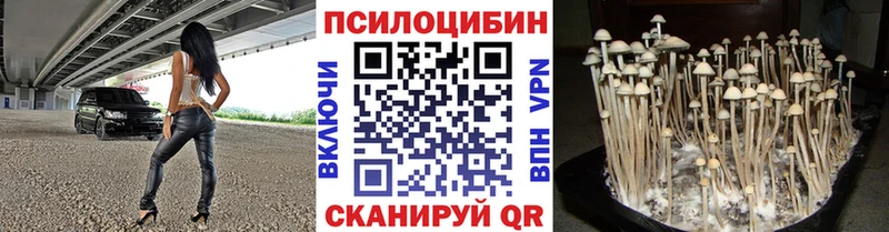 Галлюциногенные грибы Psilocybe  Стрежевой 